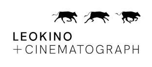 Leokino & Cinematograph